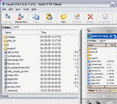 SoftX FTP Client Screenshot 1