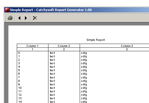 Catchysoft Report Generator Pro Screenshot 1