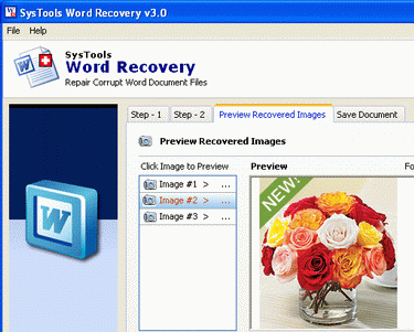 MS Word Document Recovery Screenshot 1