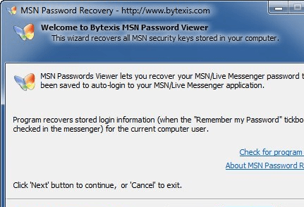 Bytexis MSN Password Recovery Screenshot 1