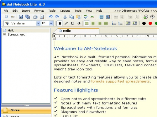 AM-Notebook Screenshot 1