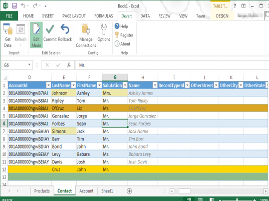 Excel Add-in for Salesforce Screenshot 1