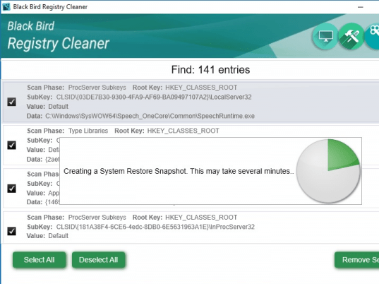Black Bird Registry Cleaner Screenshot 1