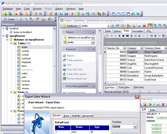 EMS MySQL Manager Screenshot 1
