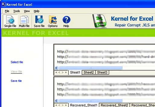 Corrupted Excel File Screenshot 1