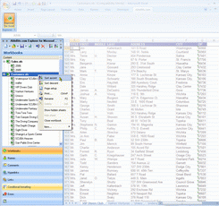 Explorer for Microsoft Excel Screenshot 1