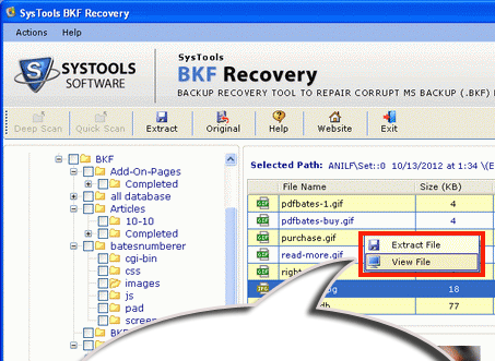 Restoring BKF File Screenshot 1