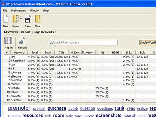 WebSite Auditor Screenshot 1