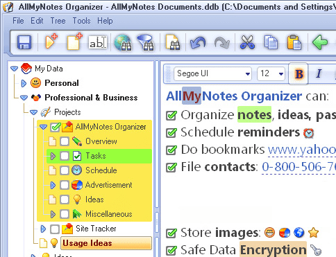 AllMyNotes Organizer Deluxe Edition Screenshot 1
