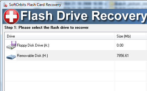 SoftOrbits Flash Recovery Screenshot 1
