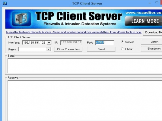 Tcp Client Server Screenshot 1