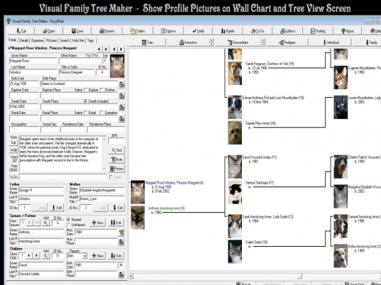 Visual Family Tree Maker Screenshot 1