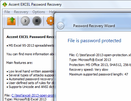 Accent Excel Password Recovery Screenshot 1