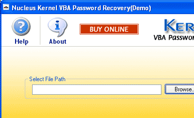 Kernel VBA Password Recovery Screenshot 1
