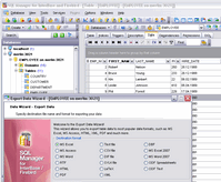 EMS SQL Manager for InterBase/Firebird Screenshot 1