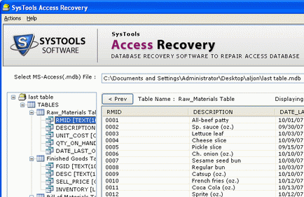 Repair Access Data File Screenshot 1