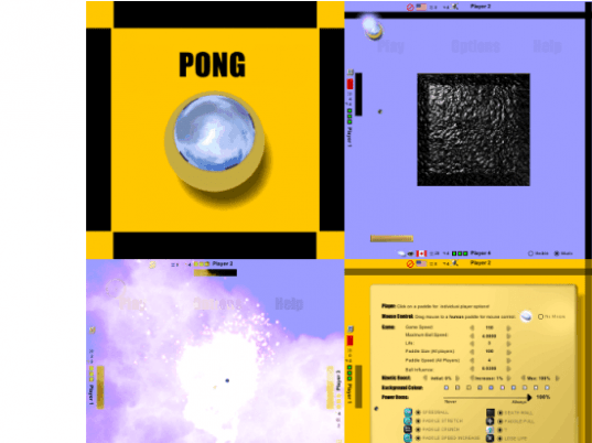 Pong Project Screenshot 1