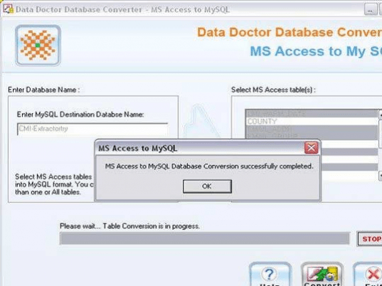 MS Access Database Converter Screenshot 1