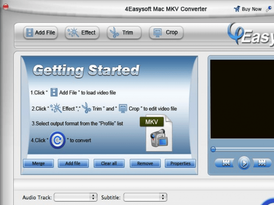 4Easysoft Mac MKV Converter Screenshot 1