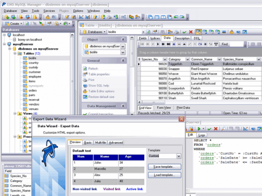 EMS MySQL Manager Lite Screenshot 1