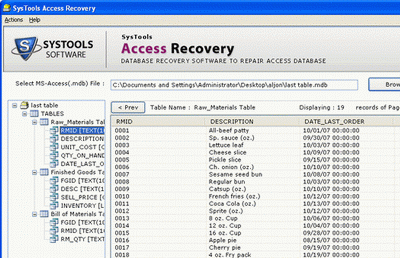 Access File Recovery Solution Screenshot 1
