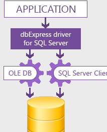 dbExpress driver for SQL Server Screenshot 1