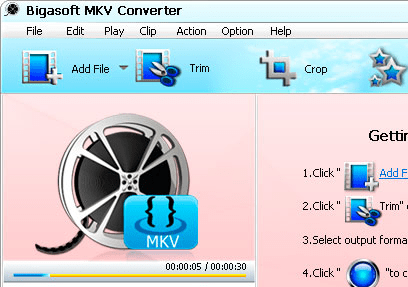 Bigasoft MKV Converter Screenshot 1