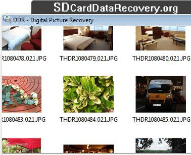 Picture Recovery Software Screenshot 1