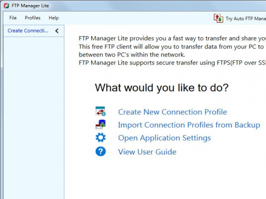 FTP Manager Lite Screenshot 1