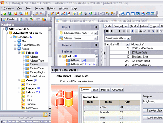 EMS MS SQL Manager Lite Screenshot 1