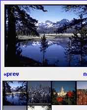 Active Image Viewer Screenshot 1