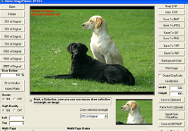Image ActiveX - Image Viewer Cp Pro Screenshot 1