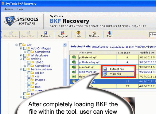 Recovery for BKF Screenshot 1