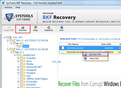 BKF Repair File Screenshot 1