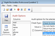 Right File Auditor Screenshot 1