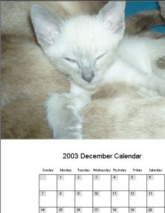 Calendar Making Software Helping You Make Your Own Calendars. Screenshot 1