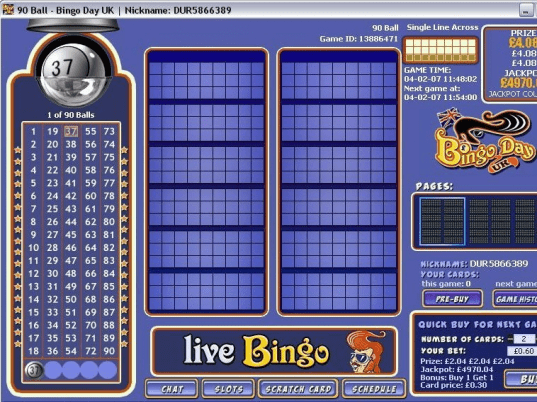 Bingo Day UK Screenshot 1