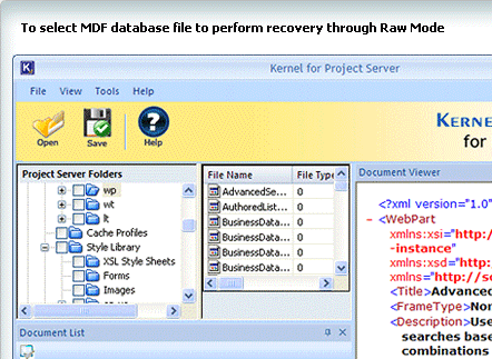 Project Server Repair Screenshot 1