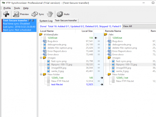 FTP Synchronizer Screenshot 1