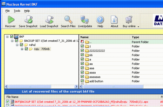 Nucleus Kernel BKF Repair Software Screenshot 1