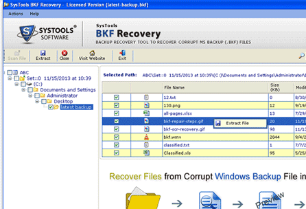 Microsoft BKF Repair Screenshot 1