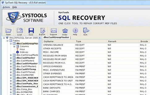 Master.MDF Missing SQL 2005 Repair Screenshot 1