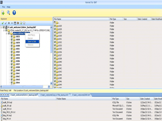 VERITAS Backup Recovery Software Screenshot 1