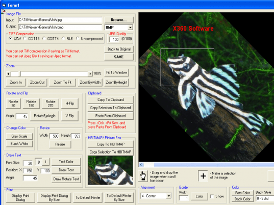 Tiff Image Viewer ActiveX Control Screenshot 1