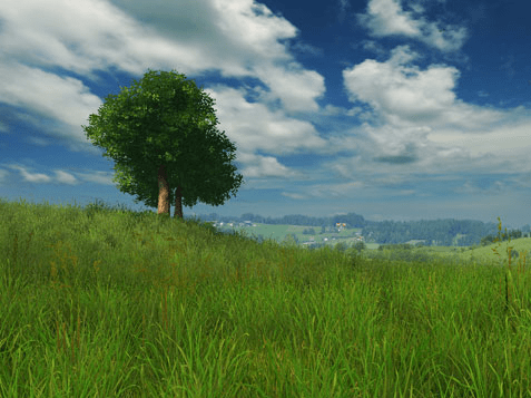 Grassland 3D Screensaver Screenshot 1