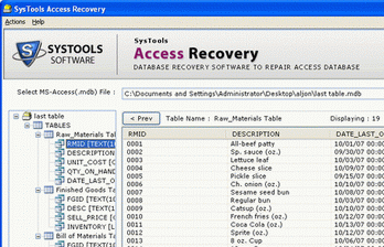 Accdb Access File Recovery Screenshot 1
