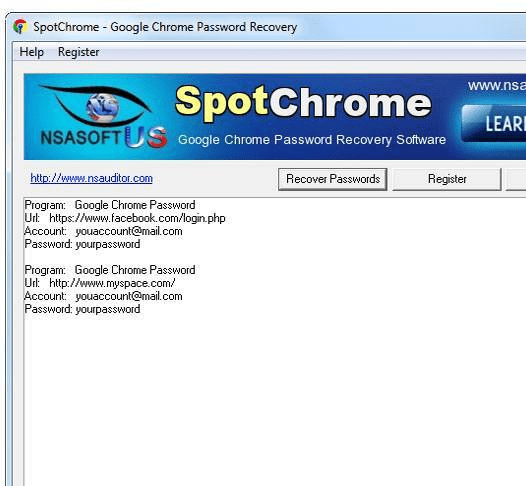 SpotChrome Password Recovery Screenshot 1