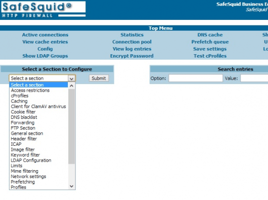 SafeSquid Business Edition 5 Screenshot 1