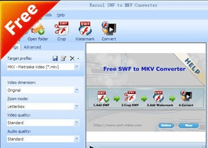 Recool SWF to MKV Converter Screenshot 1
