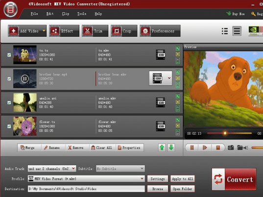 4Videosoft MKV Video Converter Screenshot 1